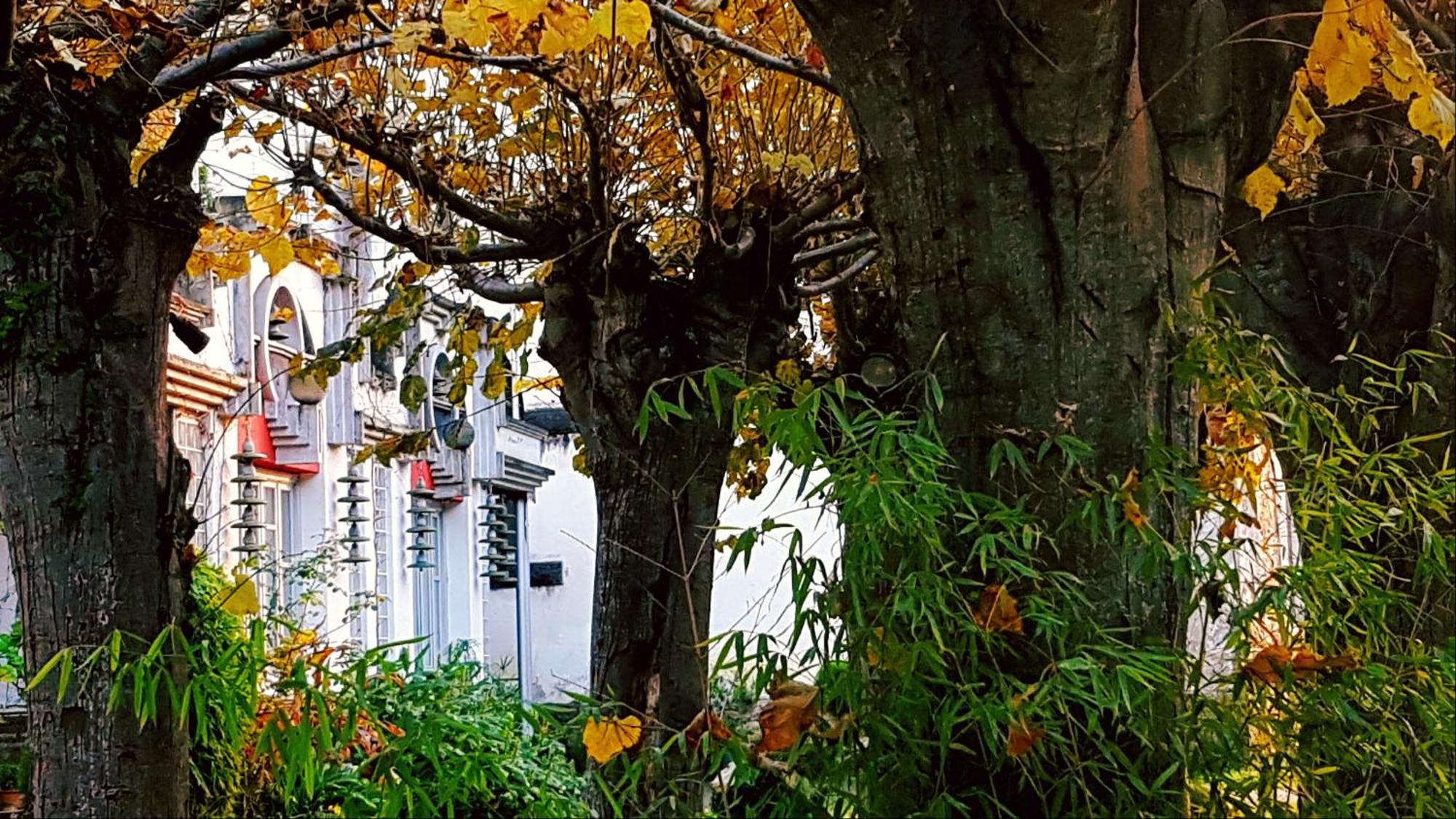Apartamentos Zentral Club Belmonte De Miranda Exterior foto